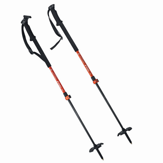 Ski Poles